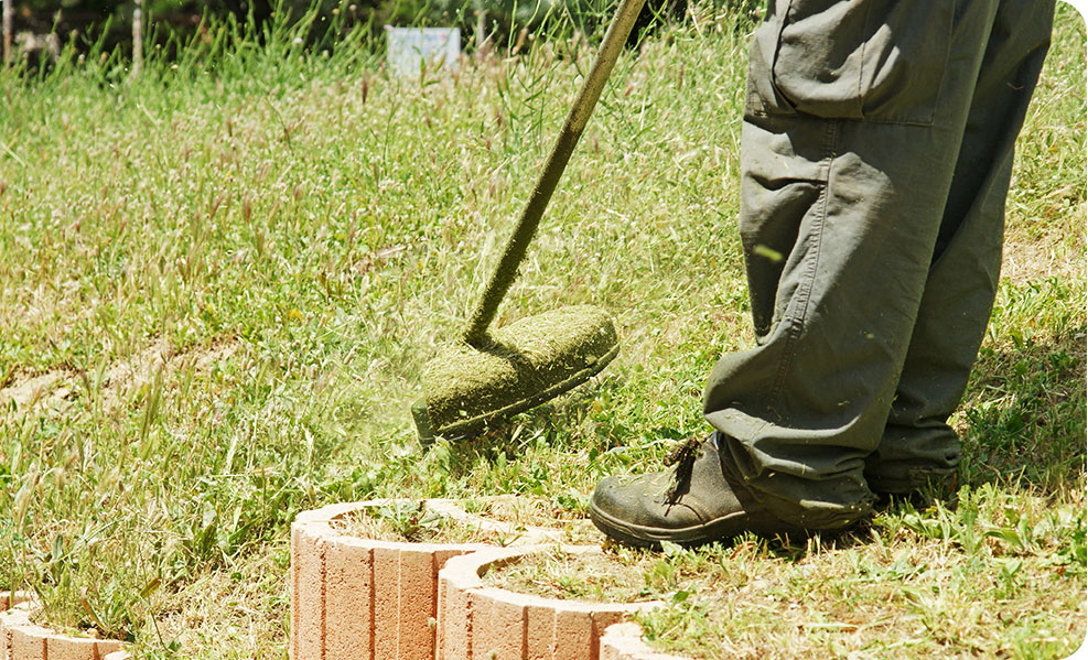 Petits travaux de jardinage et débroussaillage Alpes-Maritimes et